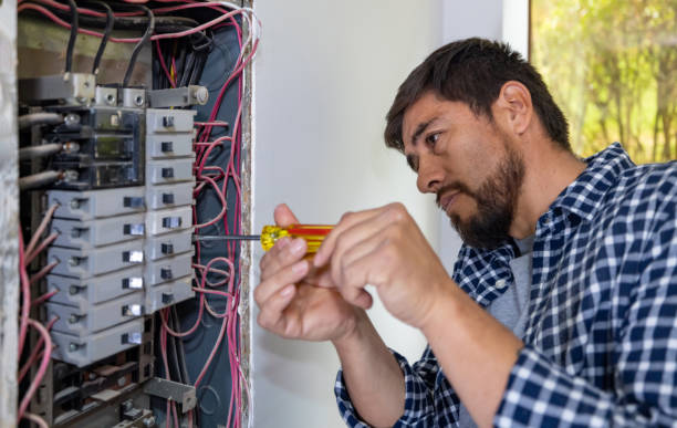 Best Electrical Troubleshooting Services  in Bemidji, MN